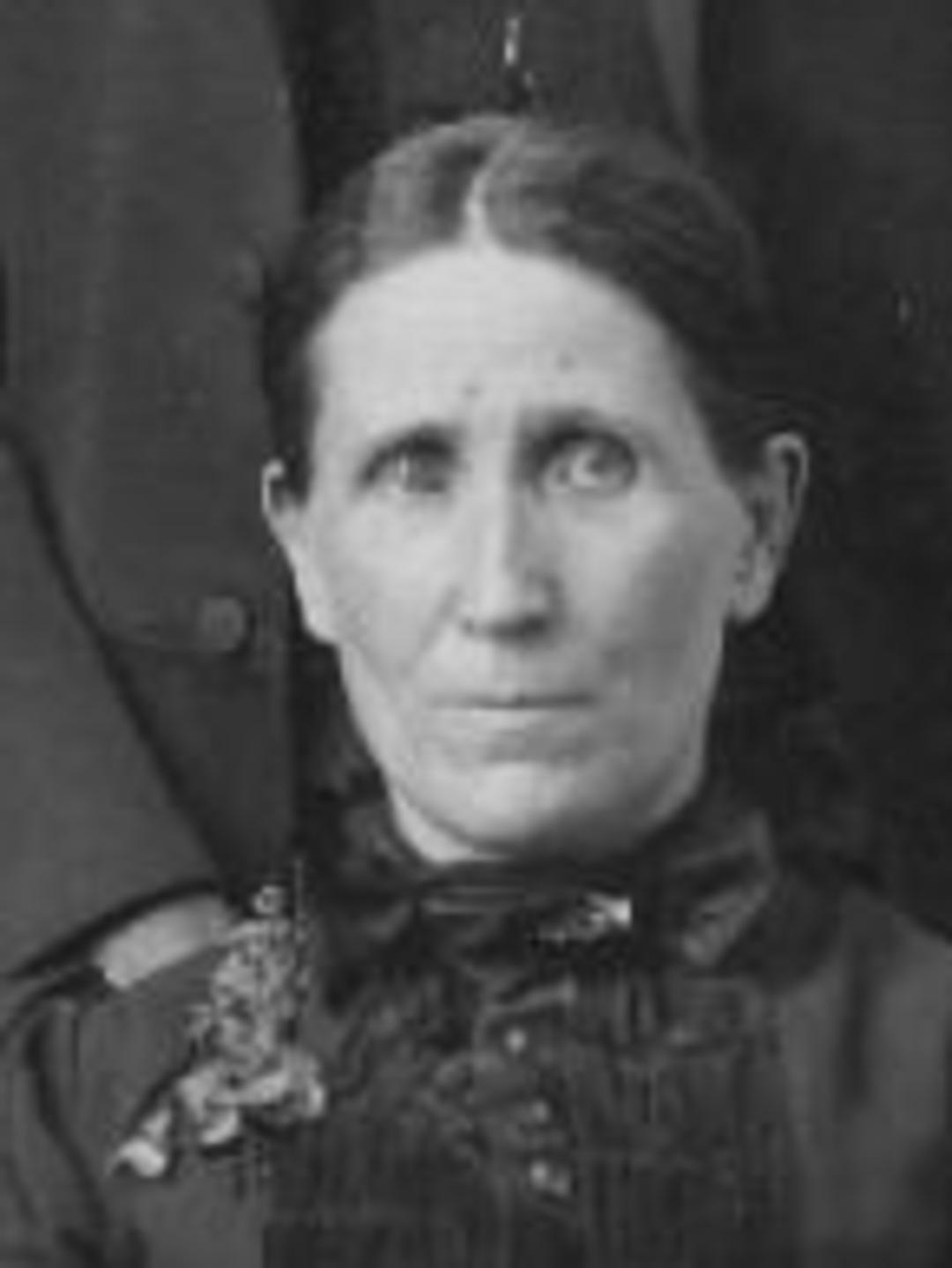 Selina Criddle (1850 - 1924) Profile